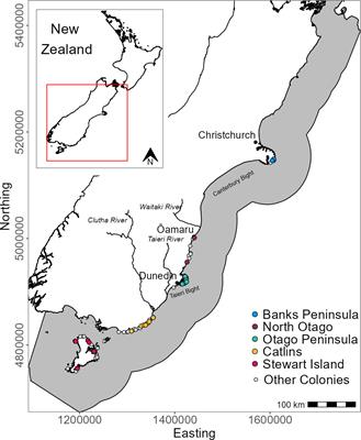 Staying close to home: Marine habitat selection by foraging yellow-eyed penguins using spatial distribution models